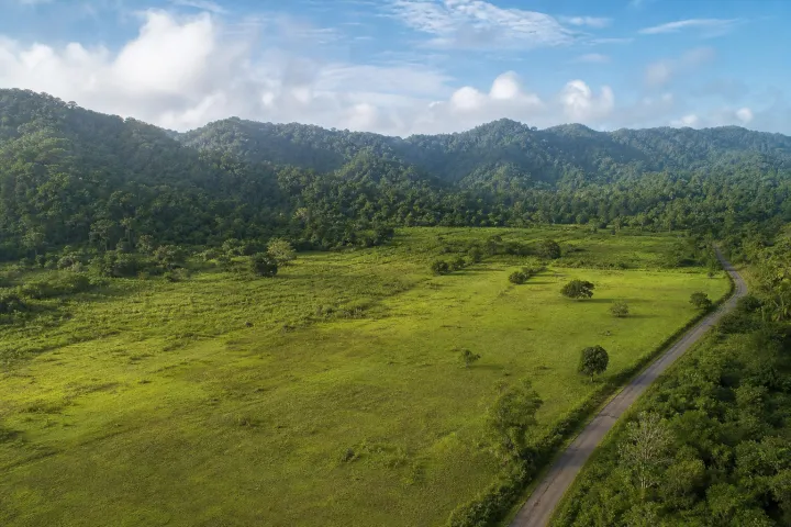 Large land parcel in Andaman